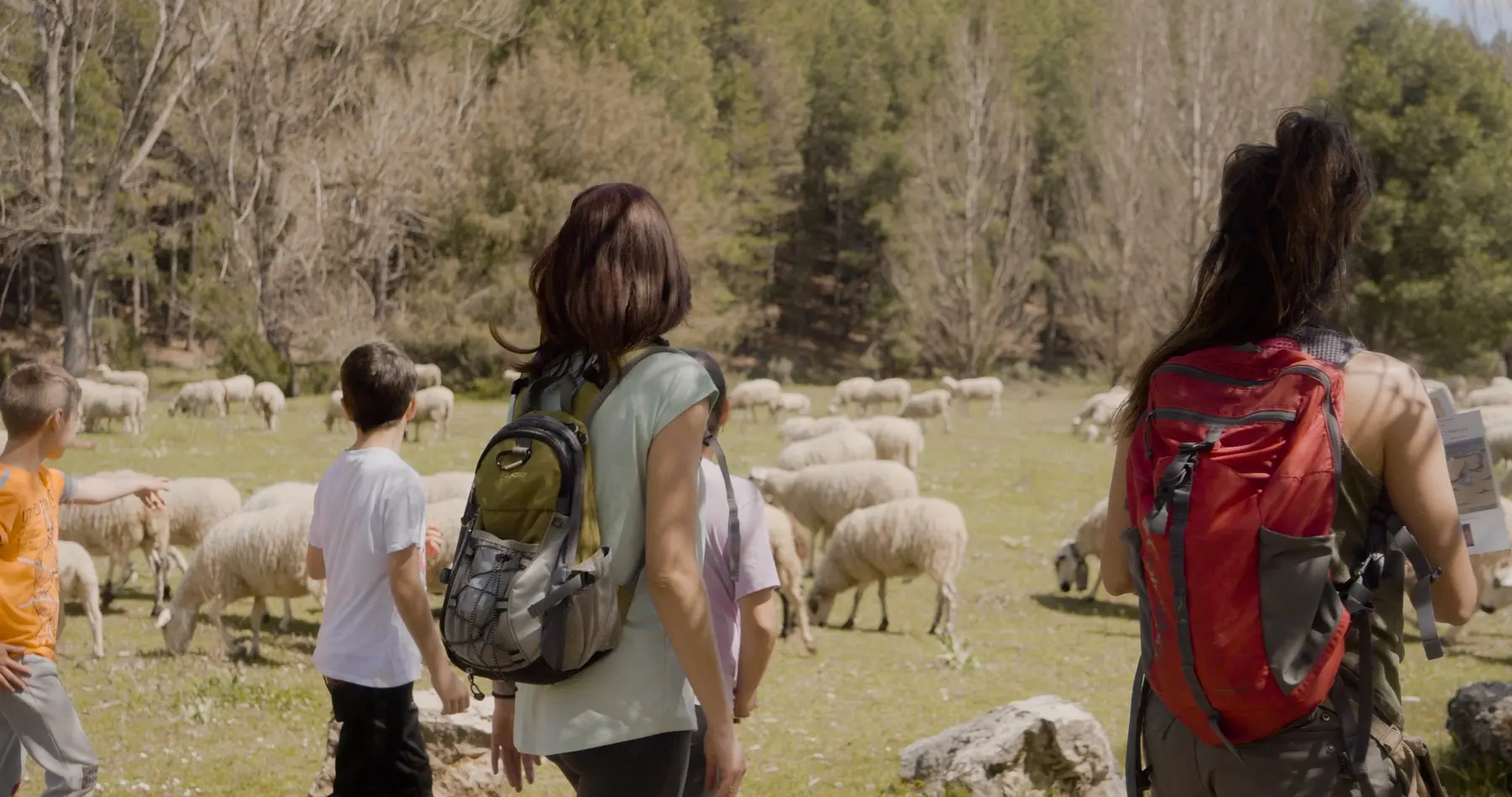 Niños disfrutando de una aventura familiar en los bosques de Soria