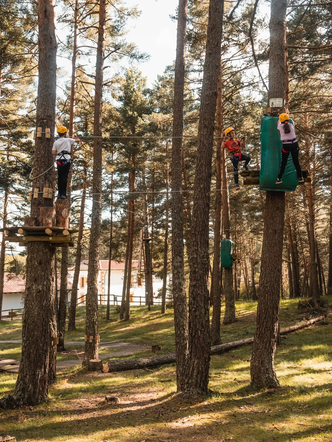 Niños explorando el bosque y la naturaleza en Soria