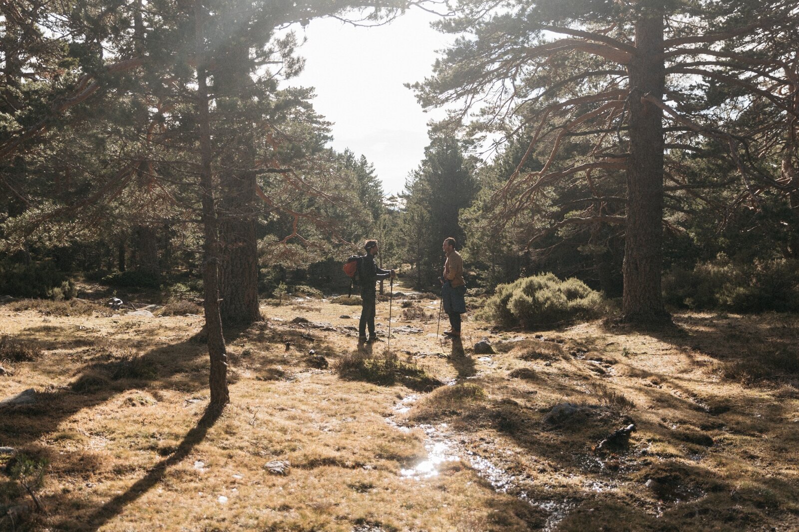 Dos personas conversando durante una ruta entre los pinares de Soria