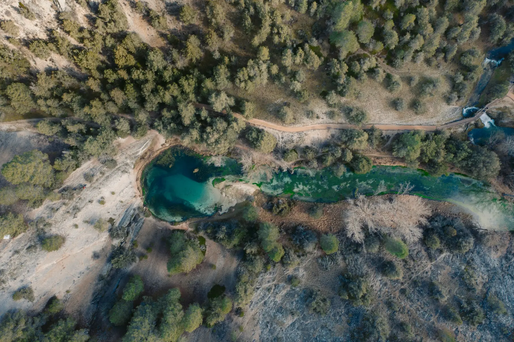Río entre pinares visto desde el aire en Soria